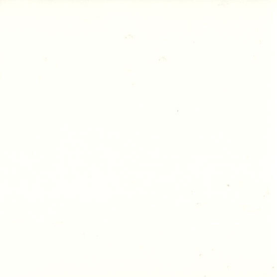 Solid Glacier White copy