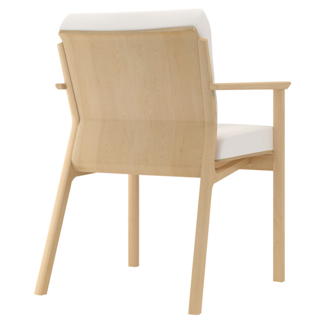 Trace Hip 22 Wood Rear